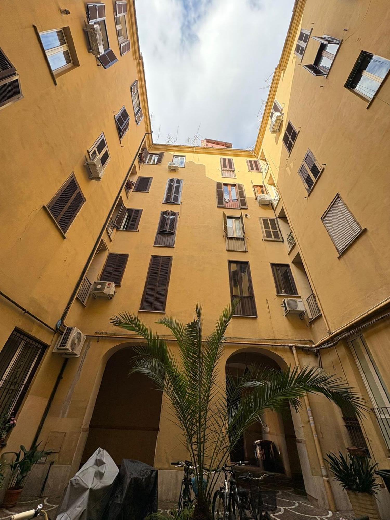 Apartamento David San Lorenzo